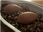 coffee stone petit fours